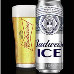 Budweiser 百威 啤酒冰啤500ml*18听醇正口感啤酒整箱装价格多少钱？