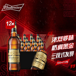 Budweiser 百威 黑金啤酒 焦糖风味 深金色美式拉格 600ml*12瓶 整箱装拼团价多少钱？