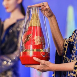 LANGJIU 郎酒 红花郎庚子鼠年53度酱香型750mL拼团价多少钱？