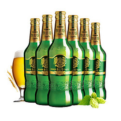 TSINGTAO 青岛啤酒 奥古特12度480ml*6瓶 整箱装电商卖多少钱？