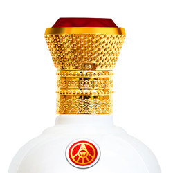 WULIANGYE 五粮液 兴隆系列 藏品 52%vol 浓香型白酒 500ml 单瓶装电商补贴价多少钱？