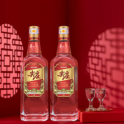 WULIANGYE 五粮液 尖庄大光礼盒500mL*2礼盒装 88vip34元/瓶电商补贴价多少钱？