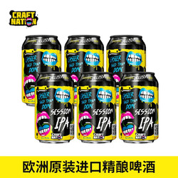 奈炫 精酿啤酒 330ml*6最终到手价多少钱？