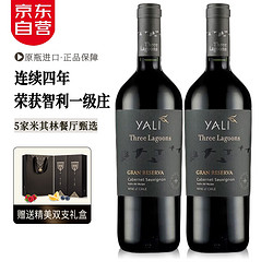 VENTISQUERO 冰川酒庄 智利原瓶进口鸿雁赤霞珠干红葡萄酒 750ml*2礼盒装拼团价多少钱？