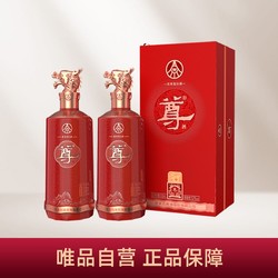 WULIANGYE 五粮液 股份公司 尊酒 红尊52度500ml*2瓶 浓香型白酒过年送礼行情价多少