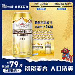 HARBIN 哈尔滨啤酒 小麦王450ml*24听大易拉罐罐装 官方旗舰店拼团价多少钱？