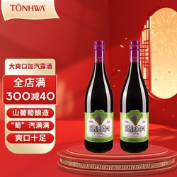 TONHWA 通化葡萄酒 通化大爽口山葡萄加汽葡萄酒市场价多少钱？