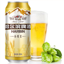 HARBIN 哈尔滨啤酒 哈尔滨王啤酒市场价多少钱？