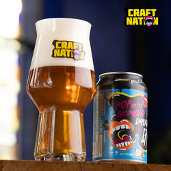 CRAFT NATION 奈炫 IPA精酿啤酒330ml*6瓶组合款包邮价多少钱？