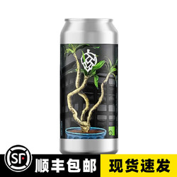 Other Half 另一半 僧侣 美国进口精酿啤酒 双倍三倍浑浊IPA 新鲜日期 罐装啤酒 单罐僧侣叶童三倍浑浊IPA行情价多少