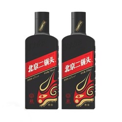 YONGFENG 永丰牌 北京二锅头 黑金版 42%vol 清香型白酒 500ml*2瓶 双支装电商卖多少钱？