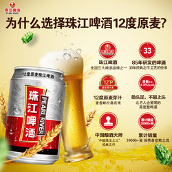 PEARL RIVER 珠江啤酒 12度原麦珠江啤酒 330ml*24听市场价多少钱？