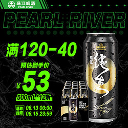 PEARL RIVER 珠江啤酒 9°P珠江97纯生啤酒500ml*12罐 整箱装包邮价多少钱？