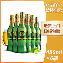 TSINGTAO 青岛啤酒 奥古特12度480ml*6瓶装整箱批发官方授权青岛产啤酒包邮电商补贴价多少钱？