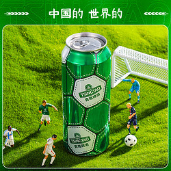 TSINGTAO 青岛啤酒 球迷定制足球罐500ml*12听*2箱市场价多少钱？