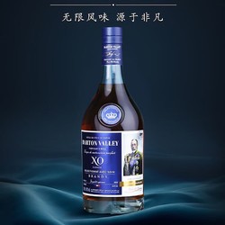 BARTON VSLLEY 巴顿谷法国XO 进口白兰地 700ml 优质香槟区洋酒40度 烈酒 送礼 礼盒装电商补贴价多少钱？