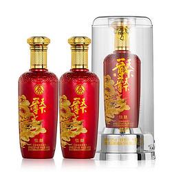 WULIANGYE 五粮液 52度浓香型白酒 一尊天下  500ml*2瓶包邮价多少钱？