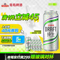 TSINGTAO 青岛啤酒 纯生炫兔罐500ml*12听 整箱装最终到手价多少钱？