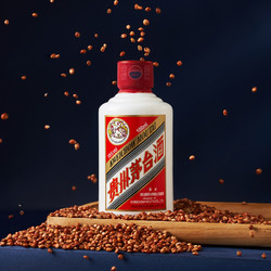 MOUTAI 茅台 飞天茅台小可爱53度酱香型白酒 100ml *2电商卖多少钱？