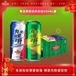 TSINGTAO 青岛啤酒 足球炫彩加油罐500ml*12听原装罐装整箱市场价多少钱？