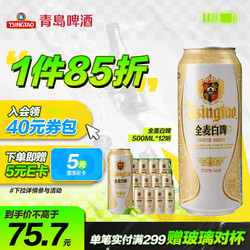 TSINGTAO 青岛啤酒 全麦白啤 500ml*12听行情价多少