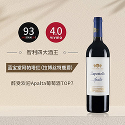 Clos Apalta 蓝宝堂酒庄 智利十八罗汉蓝宝堂庄园干红葡萄酒 蓝宝堂阿帕塔红行情价多少