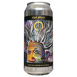 Equilibrium 稳态 质速平方 8%vol 浑浊IPA啤酒 473ml 单听装市场价多少钱？