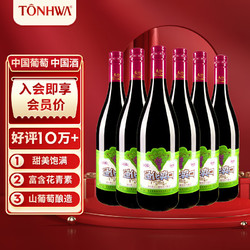 TONHWA 通化葡萄酒 通化 1937 大爽口 山葡萄加汽葡萄酒 7%vol 720ml*6 整箱装批发价多少钱？