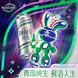 TSINGTAO 青岛啤酒 纯生炫兔罐定制500ml*12听行情价多少