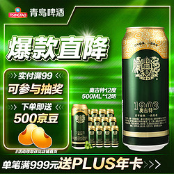 TSINGTAO 青岛啤酒 Augerta 奥古特 1903 青岛啤酒 500ml拼团价多少钱？