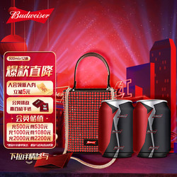 Budweiser 百威 魄斯啤酒255ml*2听电商补贴价多少钱？